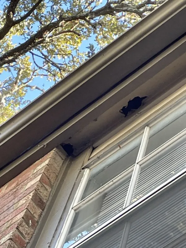 Top-Rated Handyman Services Top-Rated Handyman Services